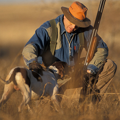 Bird Hunting